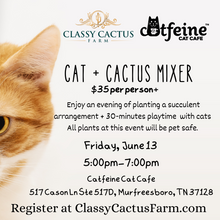 Load image into Gallery viewer, Cat + Cactus Mixer - FRIDAY, JUNE 13 - 5pm-7pm (MURFREESBORO, TN)
