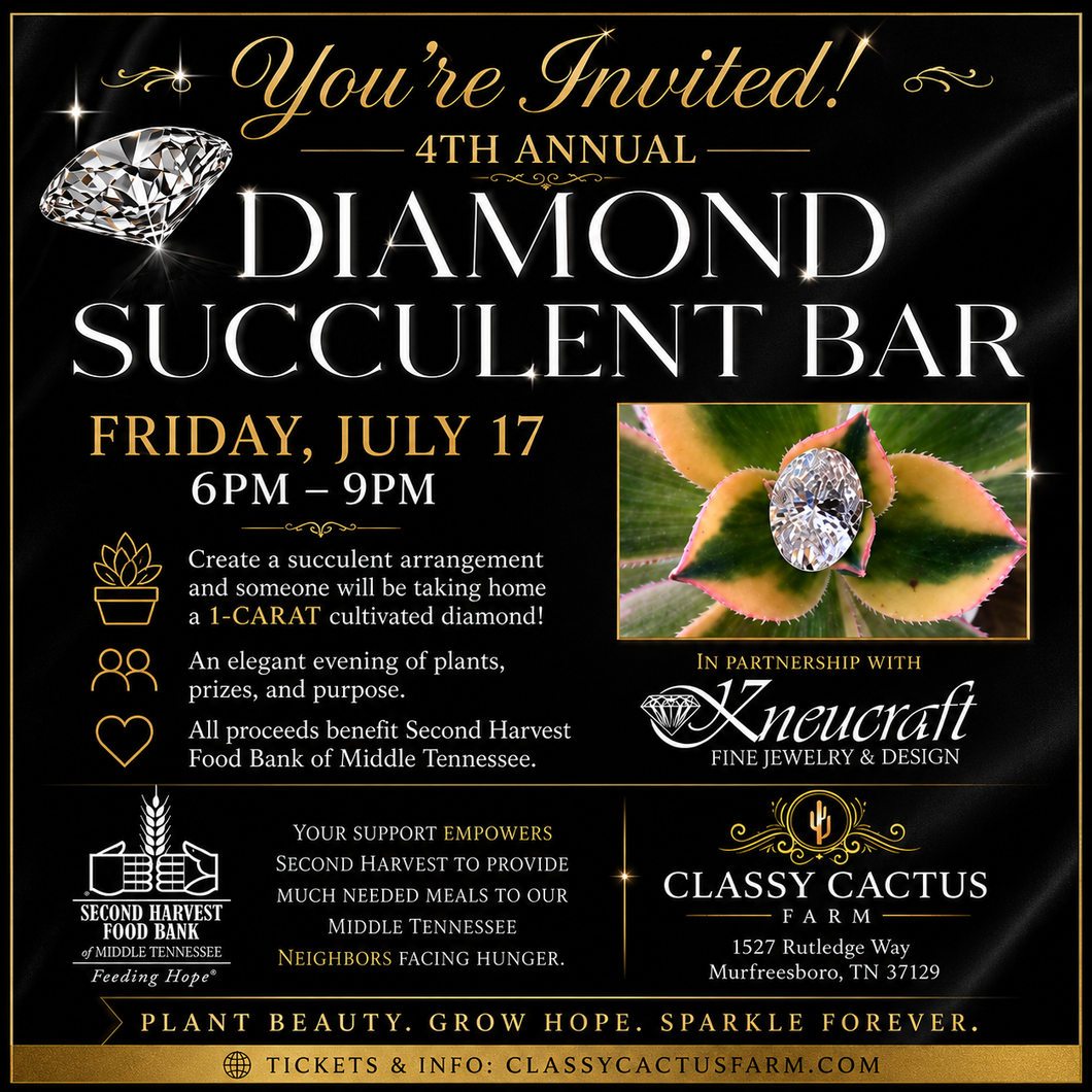 succulent bar omaha 4th Annual Diamond Succulent Bar Event (Murfreesboro, TN) Friday, July