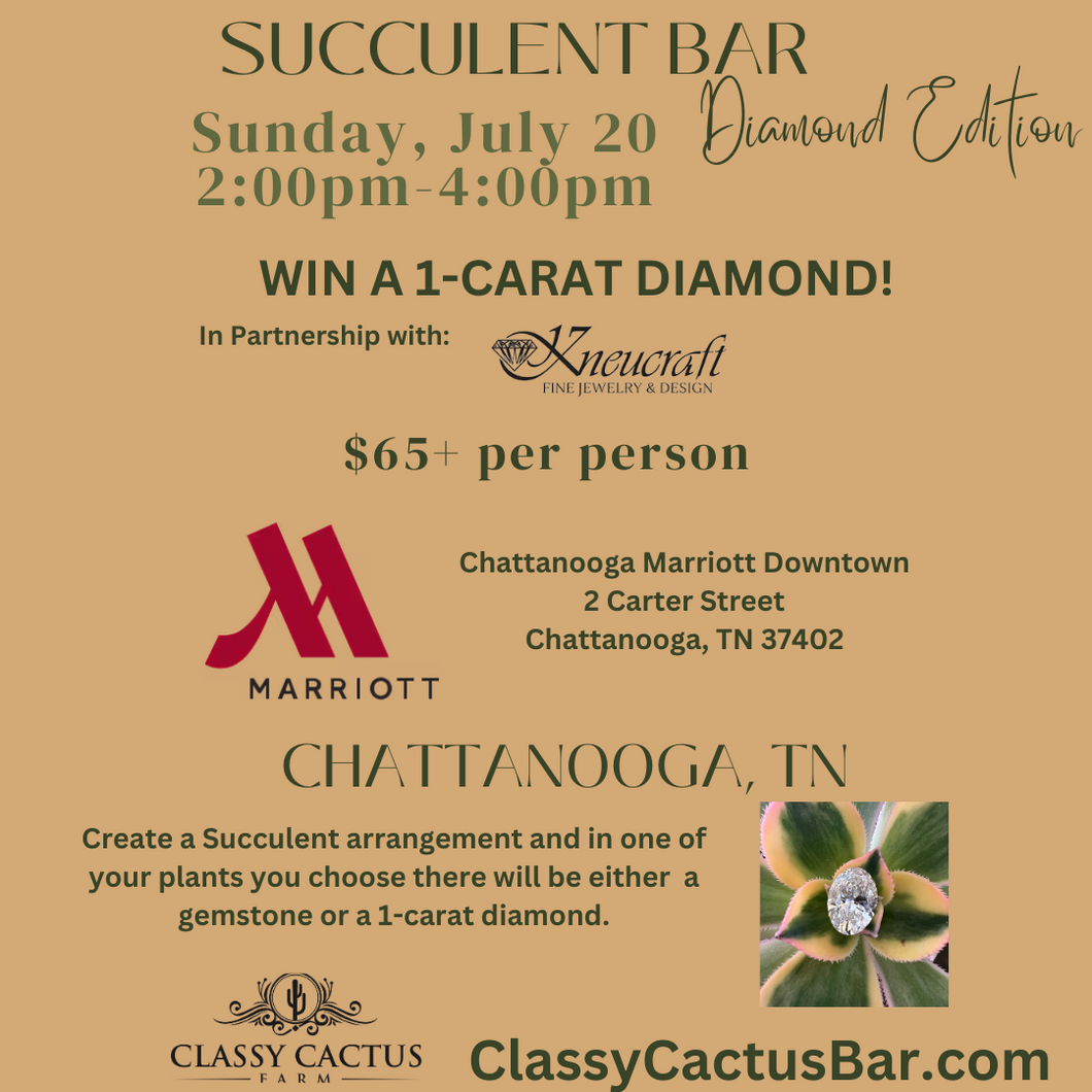 Diamond Succulent Bar (CHATTANOOGA. TN) - SUNDAY, JULY 20  - 2pm-4pm