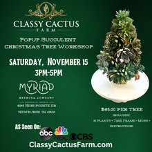 Load image into Gallery viewer, POP-UP SUCCULENT CHRISTMAS TREE WORKSHOP - Newburgh, IN - SATURDAY, NOV 15 @ 3PM
