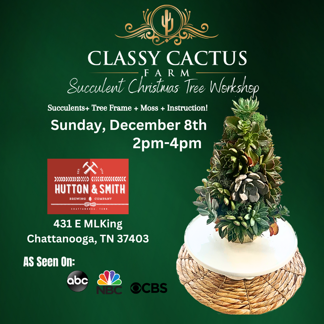 POP-UP SUCCULENT CHRISTMAS TREE WORKSHOP - Chattanooga, TN SUNDAY, NOV 9 @ 2PM EST