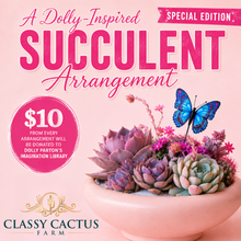 Load image into Gallery viewer, Dolly Inspired Succulent Arrangement *Special Edition
