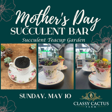 Load image into Gallery viewer, Mother’s Day Succulent Bar (Sunday, May 10) - MURFREESBORO, TN
