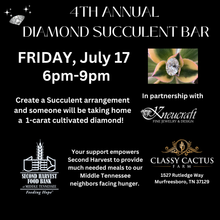 Load image into Gallery viewer, Four Seasons Classy Succulent Club Membership
