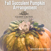 Load image into Gallery viewer, Four Seasons Classy Succulent Club Membership
