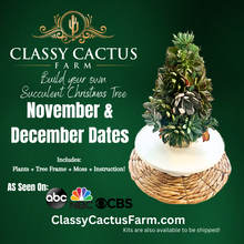 Load image into Gallery viewer, Four Seasons Classy Succulent Club Membership
