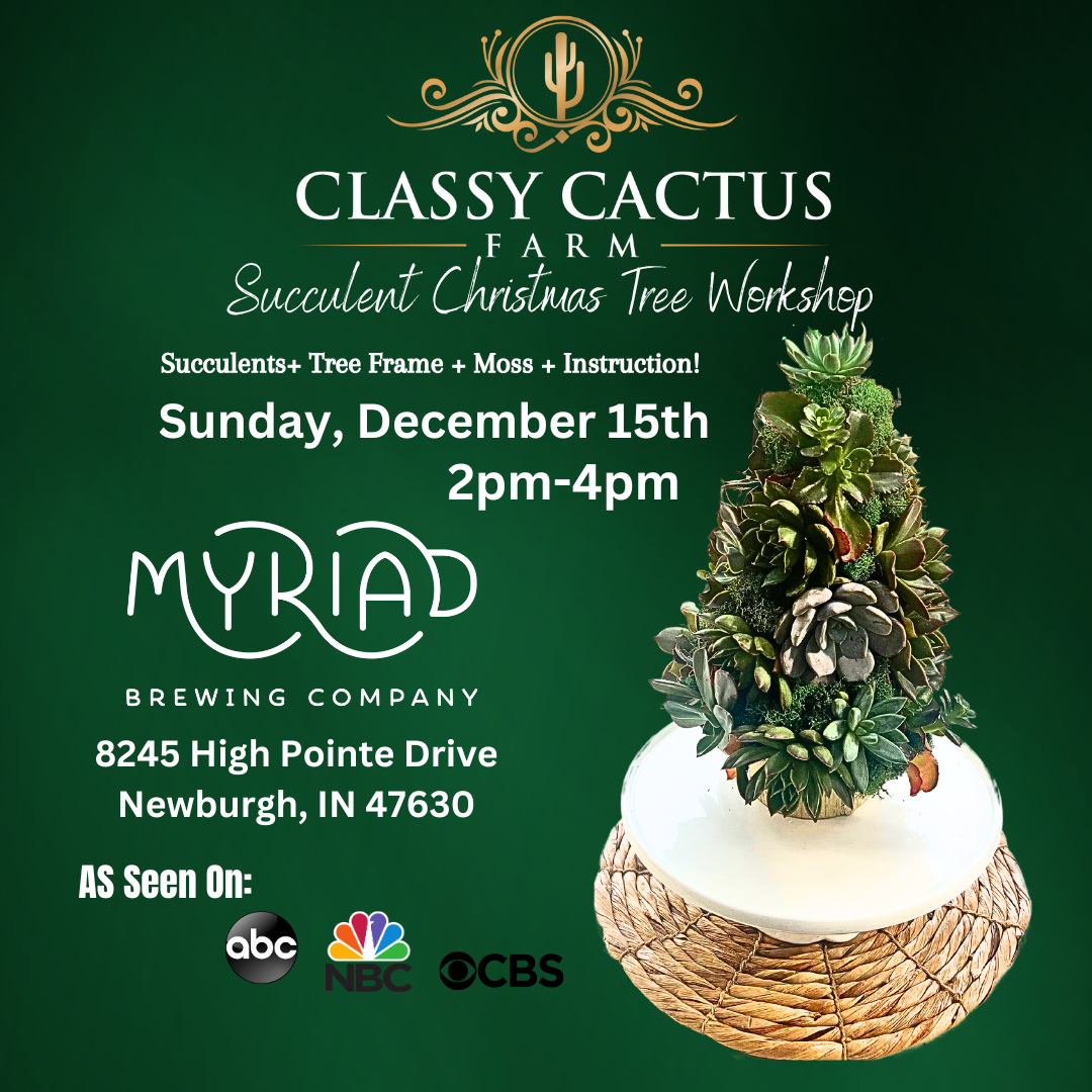 POPUP SUCCULENT CHRISTMAS TREE Newburgh, IN SUNDAY, DEC 15