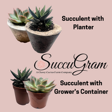 Load image into Gallery viewer, SuccuGram Gift Boxes (Choose your Occasion)
