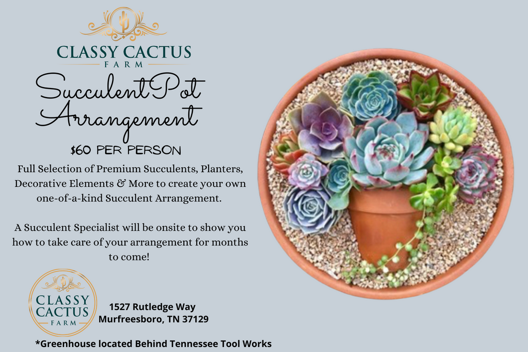 Succulent Pot Arrangement (No available dates, but available for private party bookings)