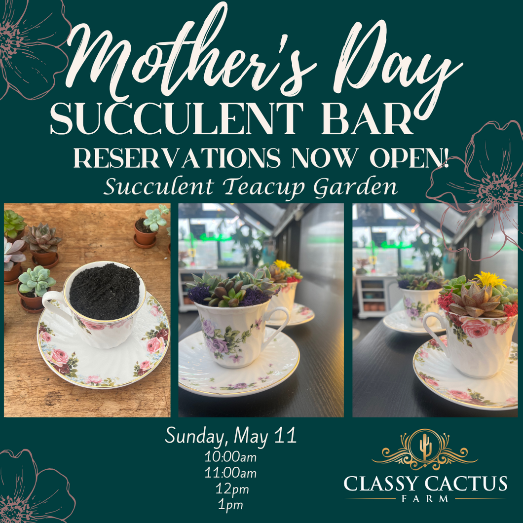 Mother’s Day Succulent Bar (Sunday, May 11) - MURFREESBORO, TN