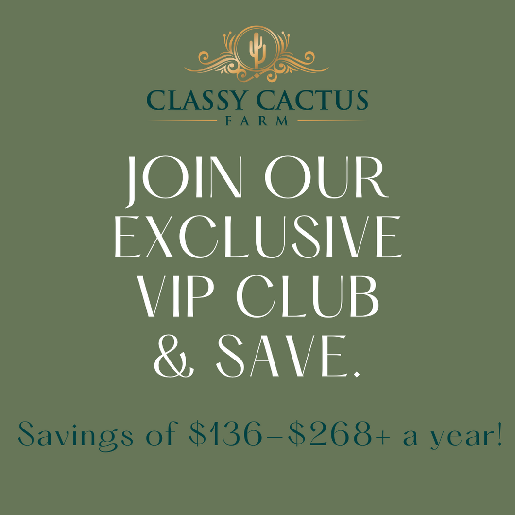 VIP Classy Cactus Club Membership