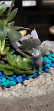 Load image into Gallery viewer, Cat + Cactus Mixer @ Naughty Cat Cafe (Chattanooga, TN) FRIDAY, OCT 25 6pm-8pm
