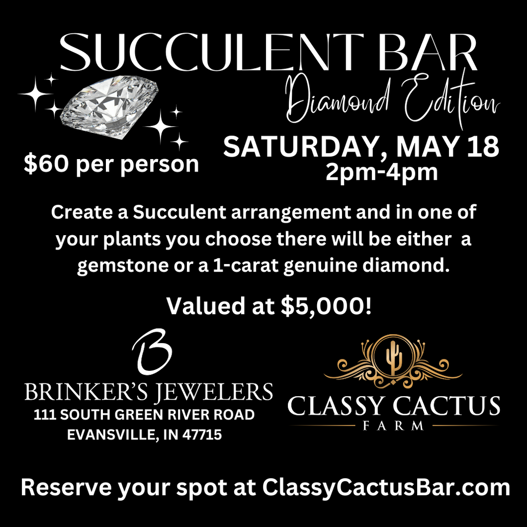 Diamond Succulent Bar - Evansville, IN - SATURDAY, MAY 18 2pm-4pm - 10 SPOTS LEFT