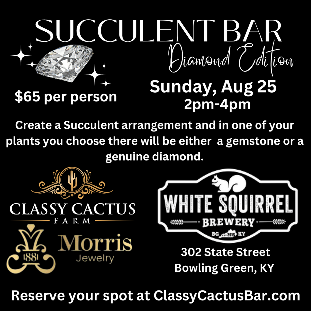 Diamond Succulent Bar Bowling Green, KY SUNDAY, AUG 25 2pm4pm