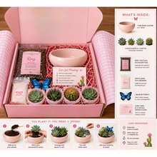 Load image into Gallery viewer, The Butterfly Dreams Succulent Box - A Dolly-Inspired arrangement.
