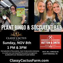 Load image into Gallery viewer, Pop-up Plant Bingo &amp; Succulent Bar - Chattanooga, TN - SUNDAY, NOV 8 at 1pm &amp; 3:00pm
