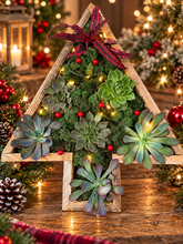 Load image into Gallery viewer, POP-UP SUCCULENT BAR - Newburgh, IN. SUNDAY, DEC 6 at 3:30PM
