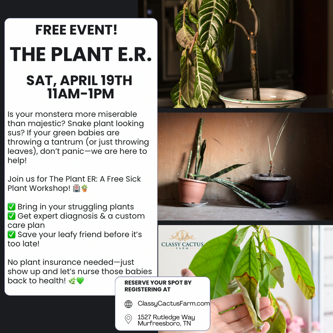 Sick Plant Workshop (FREE EVENT) - Saturday, April 19 - 11am-1pm