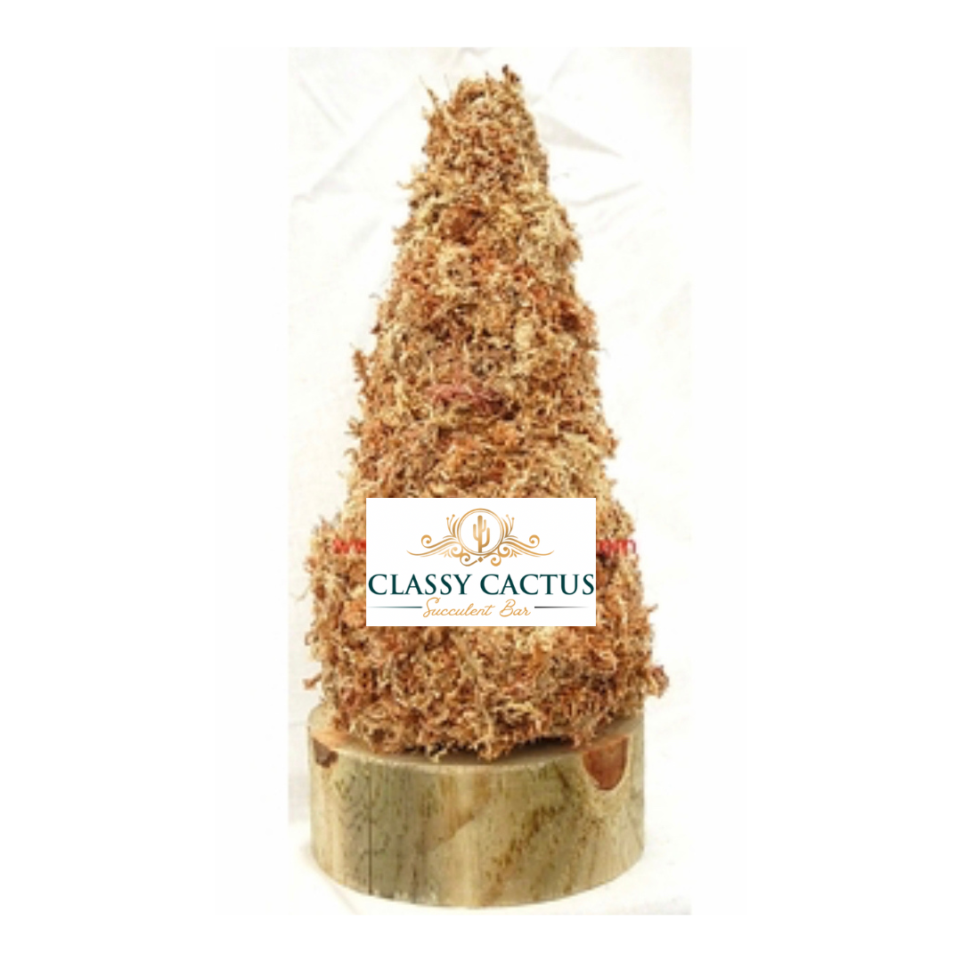 cactus moss Sphagnum Moss Tree (frame only
