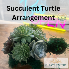 Load image into Gallery viewer, Four Seasons Classy Succulent Club Membership
