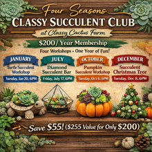 Load image into Gallery viewer, Four Seasons Classy Succulent Club Membership
