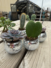 Load image into Gallery viewer, Disco Ball Succulent Gift Box
