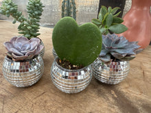 Load image into Gallery viewer, Disco Ball Succulent Gift Box
