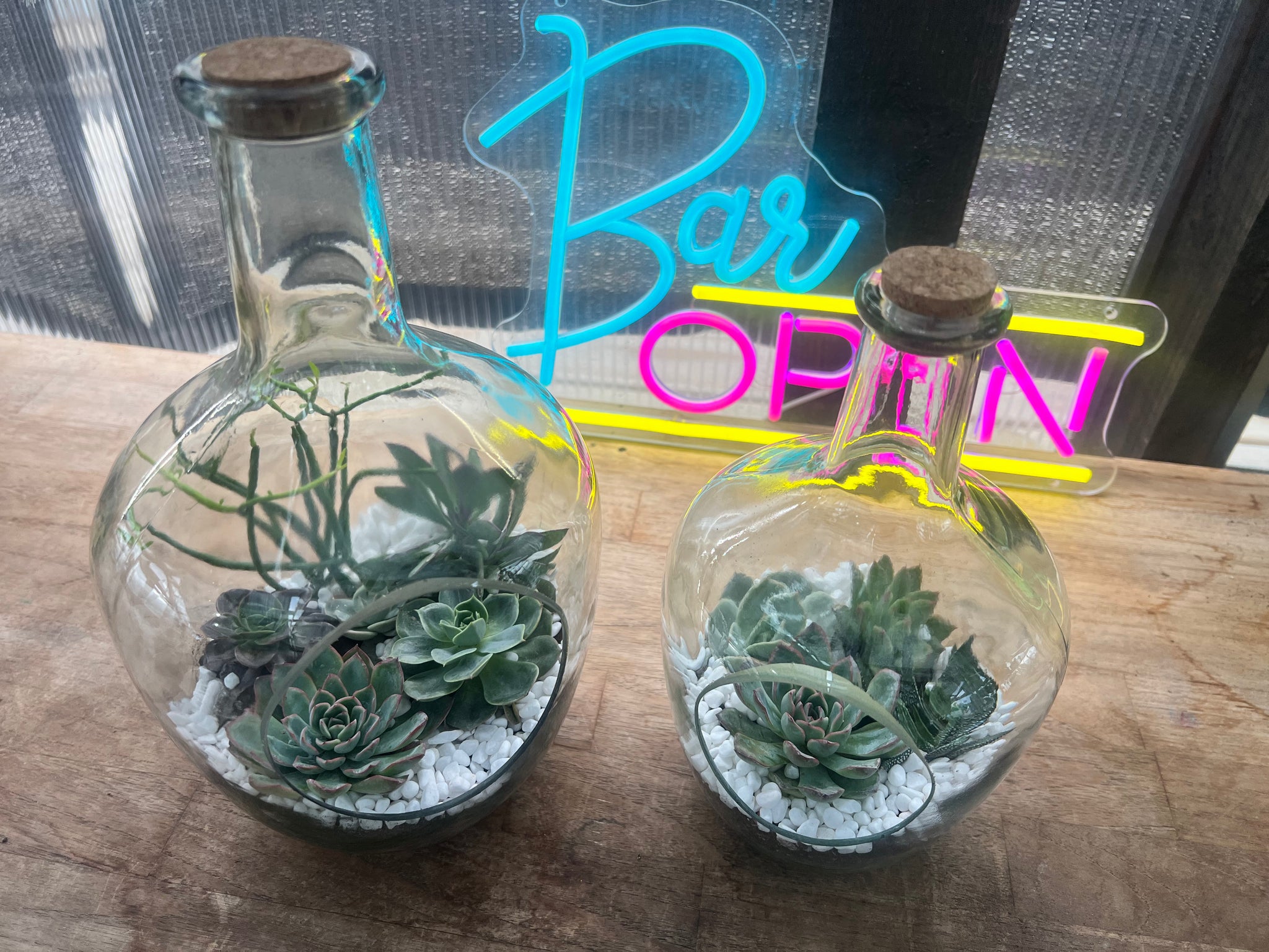 succulents nashville tn Reserve a Seat at the Succulent Bar (Murfreesboro, TN)