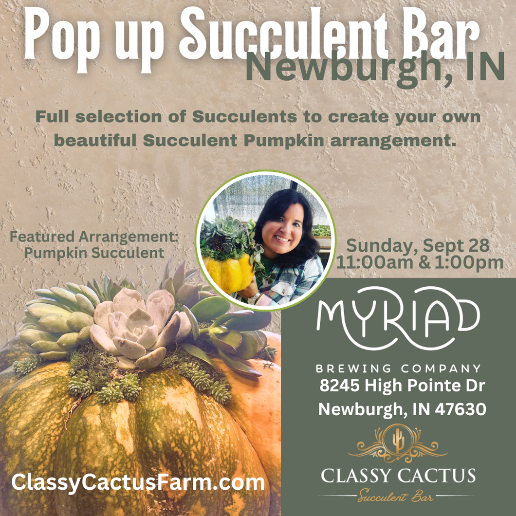 POP-UP SUCCULENT BAR - Newburgh, IN. SUNDAY, SEPT 28 @ 11am & 1:00pm