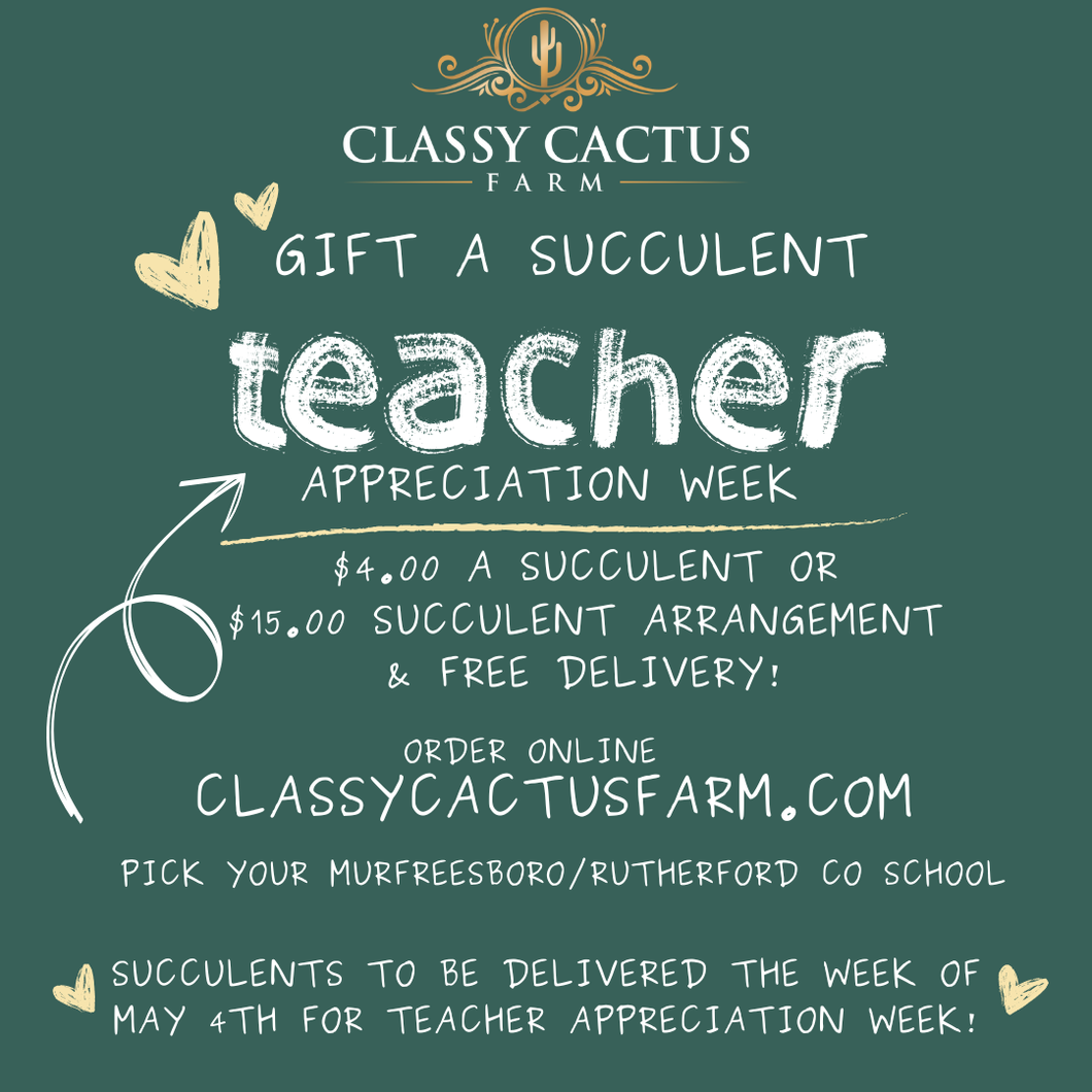 Teacher Appreciation Week 2026 - Gift a Succulent (Murfreesboro & Rutherford Co. Schools) - May 4-8th