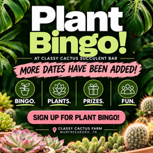 Load image into Gallery viewer, Plant Bingo - MULTIPLE DATES AVAILABLE!
