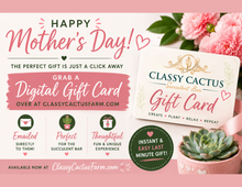 Load image into Gallery viewer, Classy Cactus Farm Online Gift Card
