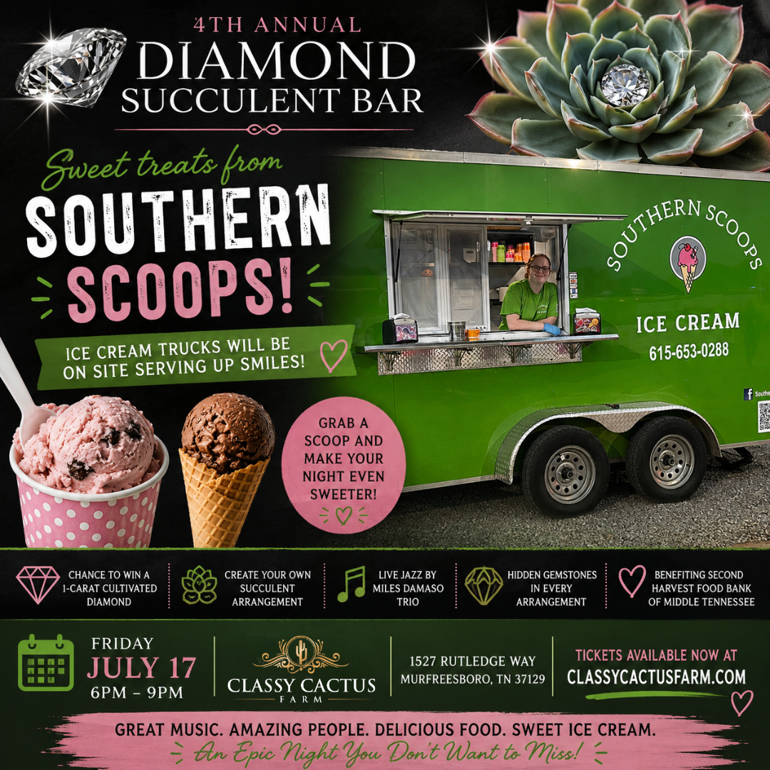 succulent bar murfreesboro tn 4th Annual Diamond Succulent Bar Event (Murfreesboro, TN) Friday, July