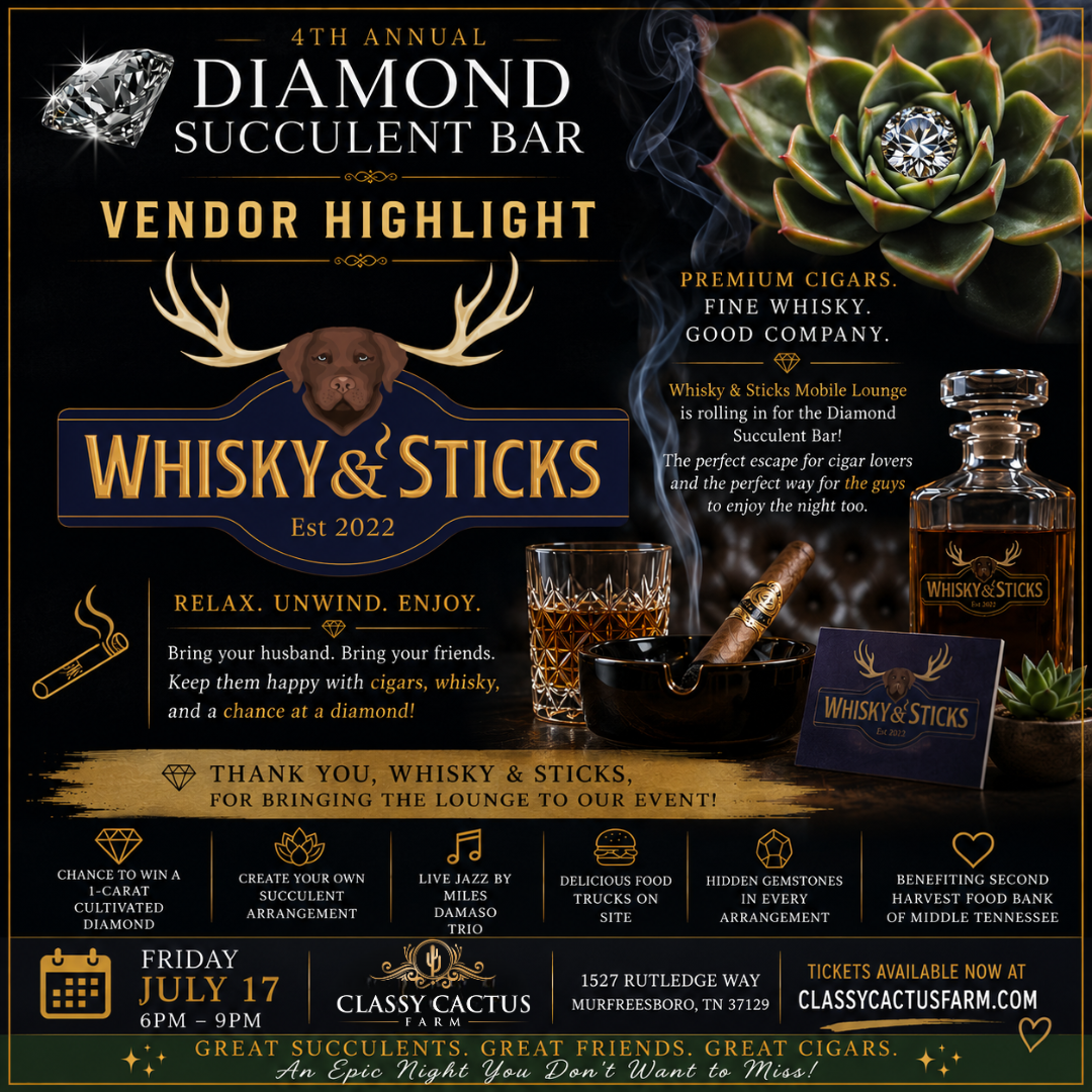 classy cactus succulent bar 4th Annual Diamond Succulent Bar Event (Murfreesboro, TN) Friday, July