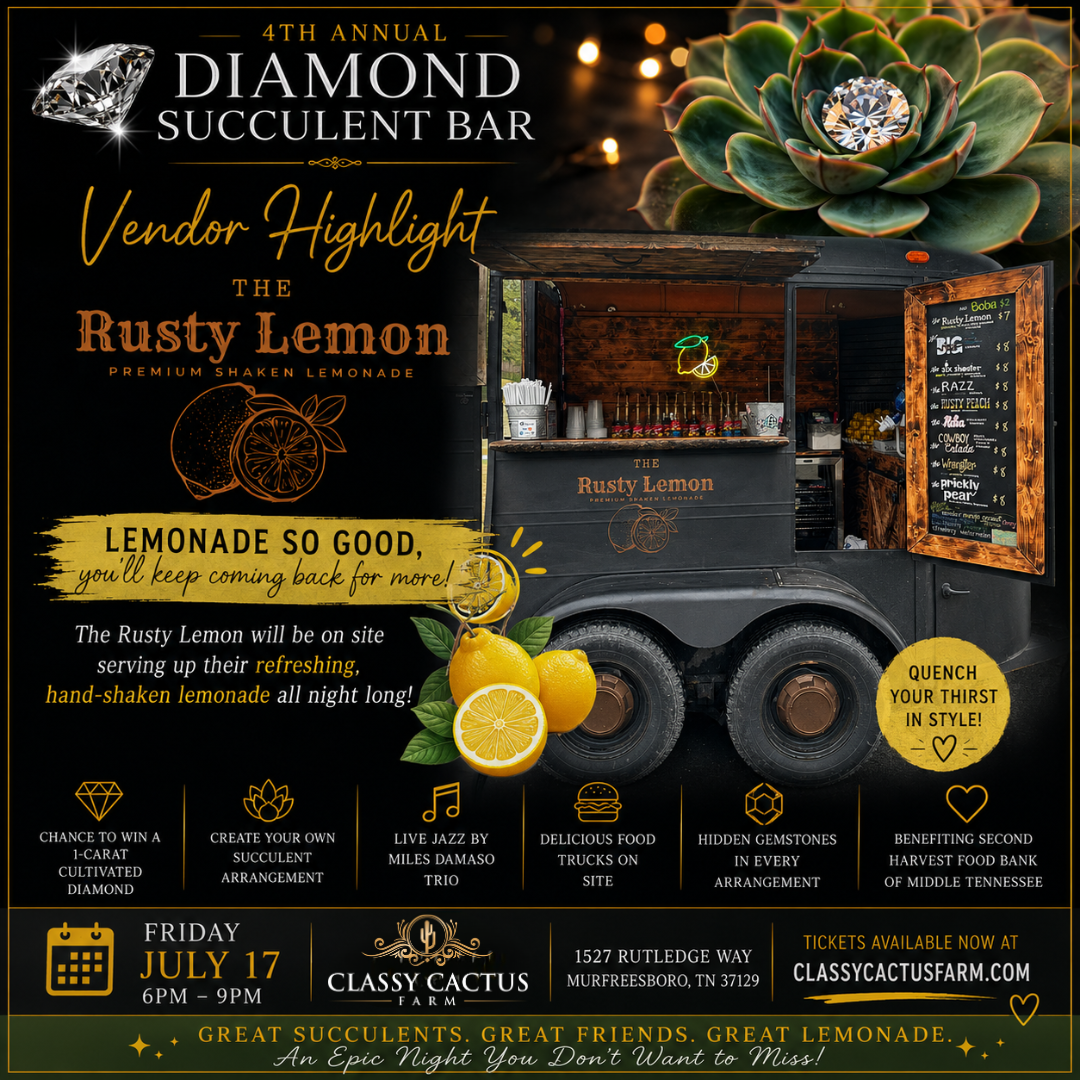 classy cactus succulent bar 4th Annual Diamond Succulent Bar Event (Murfreesboro, TN) Friday, July