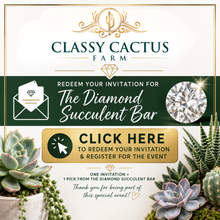 Load image into Gallery viewer, Invitation Only: Diamond Succulent Bar
