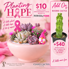 Load image into Gallery viewer, Planting Hope DIY Succulent Arrangement Box. PREORDER. Ships in October

