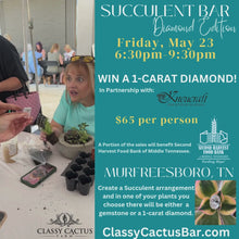 Load and play video in Gallery viewer, 3rd Annual Diamond Succulent Bar Event (Murfreesboro, TN) Friday, May 23 @ 6:30pm-9:30pm
