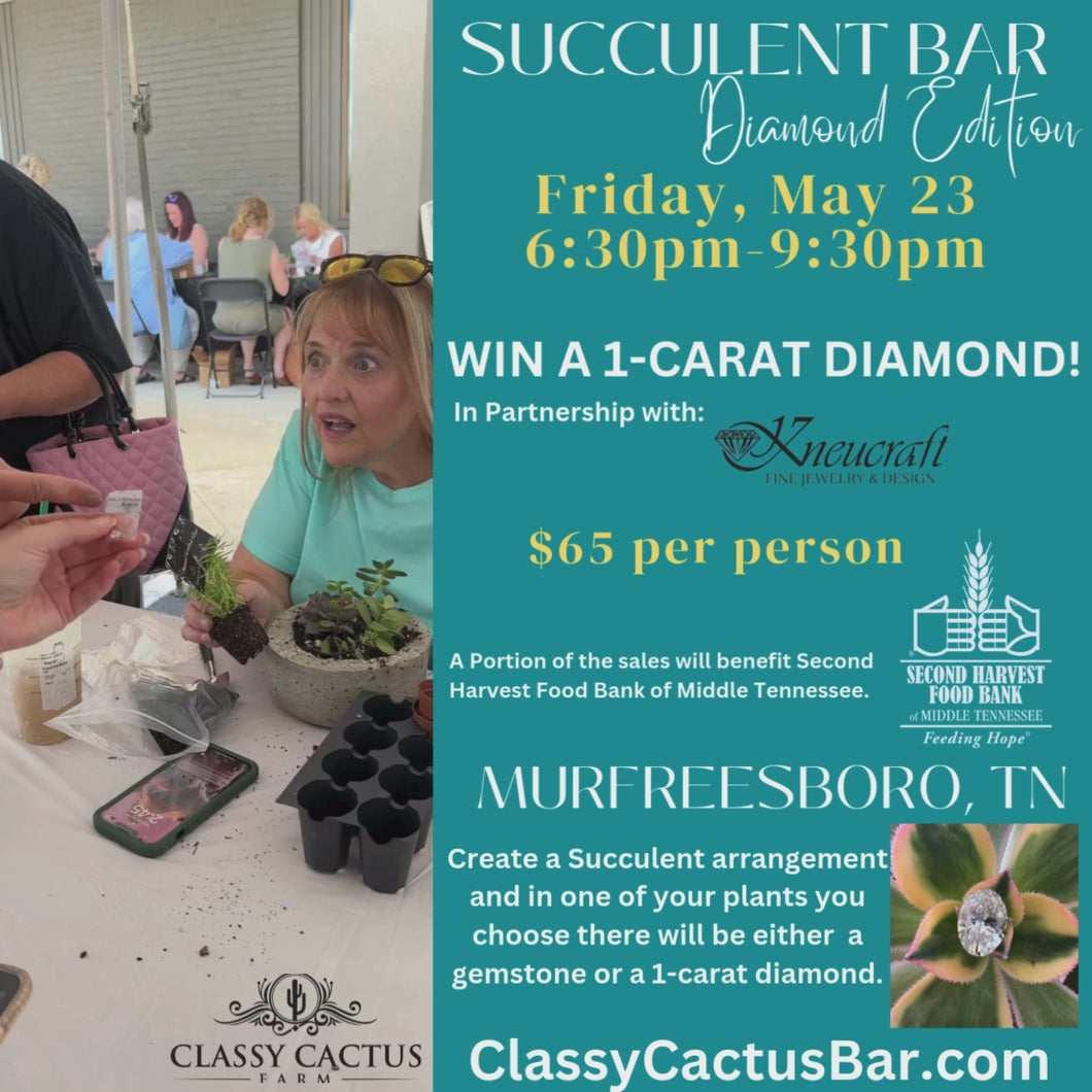 3rd Annual Diamond Succulent Bar Event (Murfreesboro, TN) Friday, May 23 @ 6:30pm-9:30pm