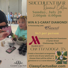 Load and play video in Gallery viewer, Diamond Succulent Bar (CHATTANOOGA. TN) - SUNDAY, JULY 20  - 2pm-4pm
