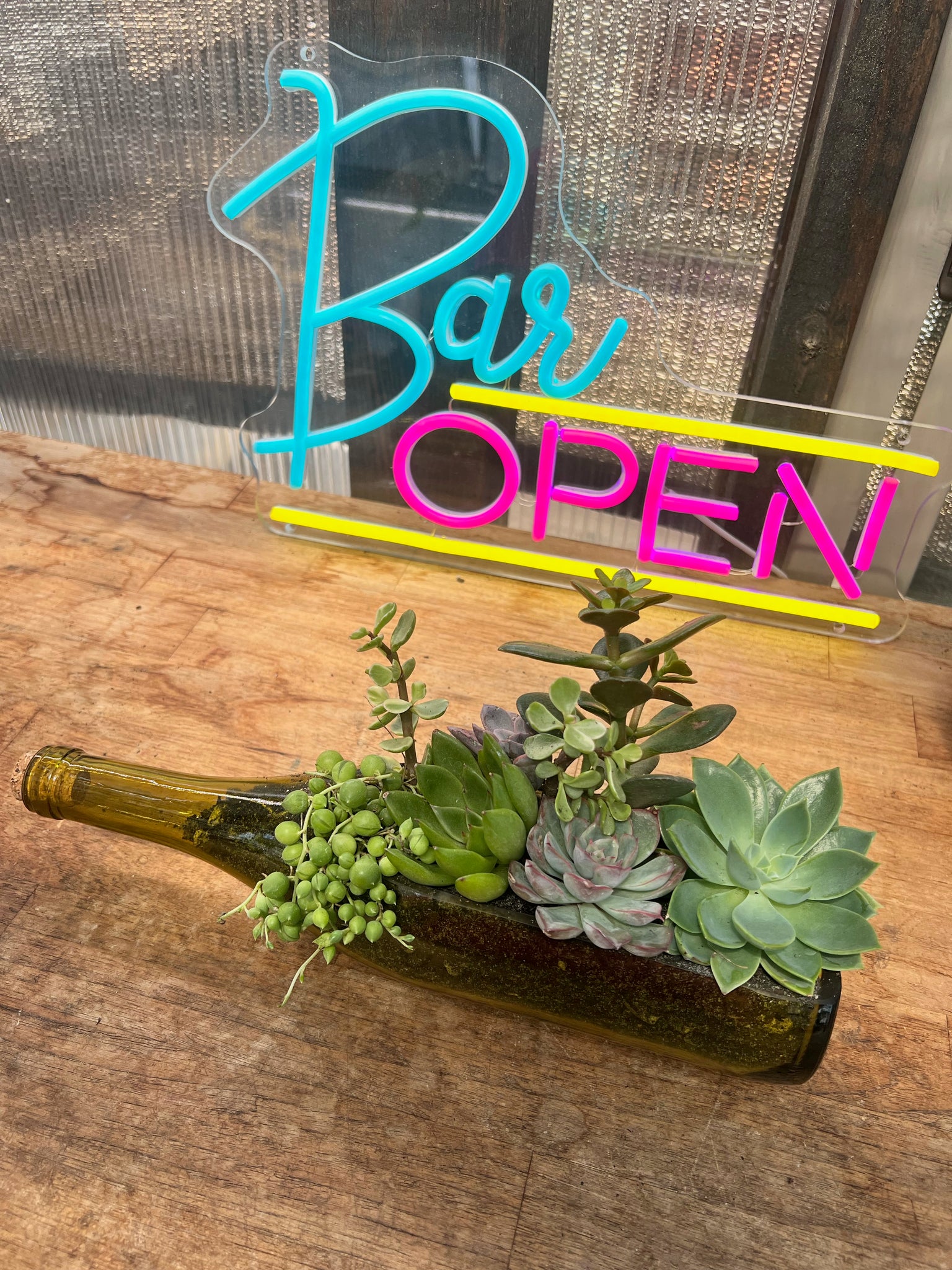 trader joe's wine bottle succulents Reserve a Seat at the Succulent Bar (Murfreesboro, TN)