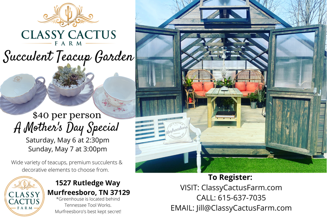 Succulent Teacup Garden - A Mother’s Day Special May 2024 - MULTIPLE DATES AVAILABLE