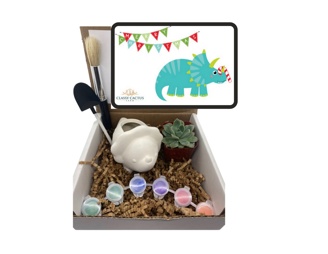 Merry Christmas Triceratops Dinosaur Succulent Gift Box