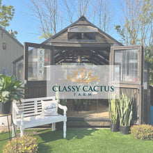 Load image into Gallery viewer, Traveling Classy Cactus Succulent Bar - Friday, April 10 @ 6:30pm (Parkway Baptist Church)
