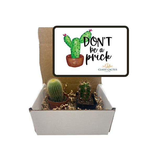 Cactus Gift Box - (set of 2) Don't be a Prick
