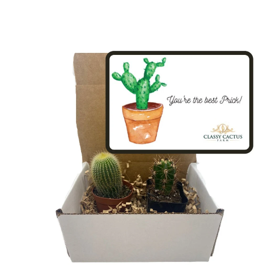 Cactus Gift Box - (set of 2) You're the best prick