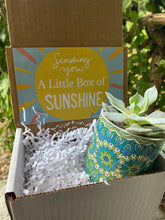 Load image into Gallery viewer, Colorful Succulent planter gift box with succulent
