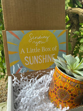 Load image into Gallery viewer, Colorful Succulent planter gift box with succulent
