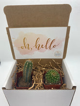 Load image into Gallery viewer, Cactus Gift Box - Oh, Hello!  (Set of 2)
