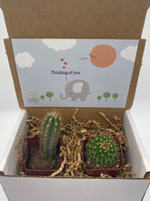 Load image into Gallery viewer, Cactus Gift Box - Thinking of You elephant  (Set of 2)
